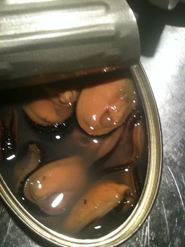 Fotos iphoneras de la semana