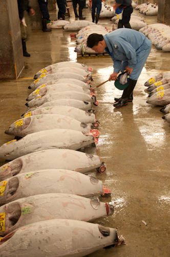Tsukiji