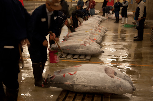 Tsukiji